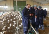 Sébastien Tronchet a fait visiter son élevage au préfet et a expliqué les avancées réalisées sur le bien être animal.