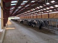 Le Gaec Michel ouvrira ses portes dimanche : l'installation laitière est neuve, et permet de produire 1,1 million de litres.