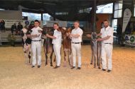 Alexandre Gallard (à droite) avec LBB Nalice, championne Brune et championne suprême, accompagnent les trois autres génisses championnes provenant du Gaec du Bois Brillant.